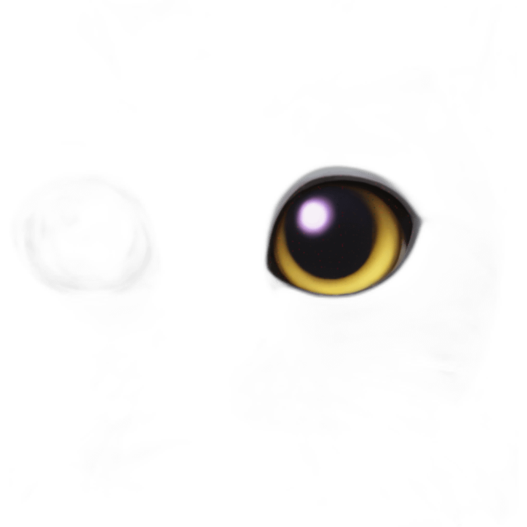 surprising cat face on entire galaxy emoji