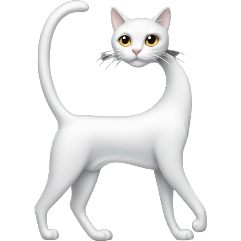 long-leg-cat in silver and white  emoji