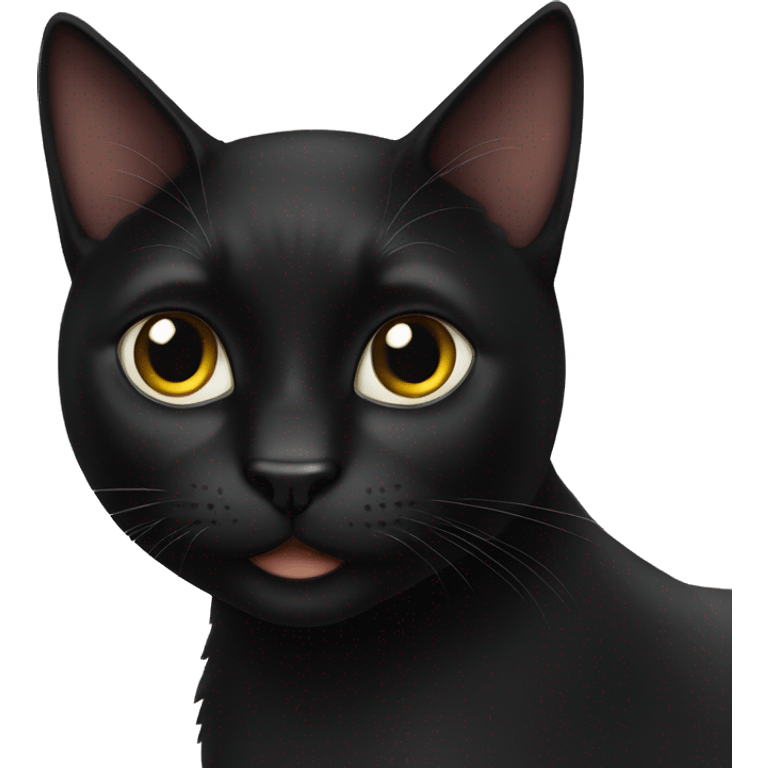 Black cat emoji