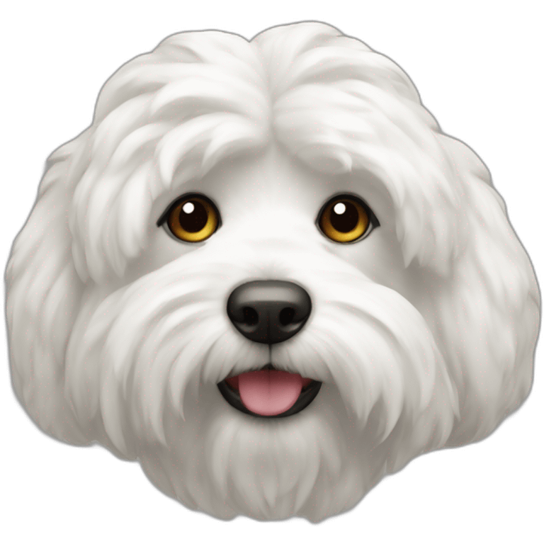 Coton de tuléars emoji