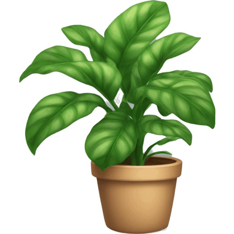 House plant  emoji