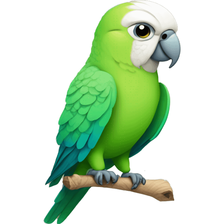 smug parakeet emoji