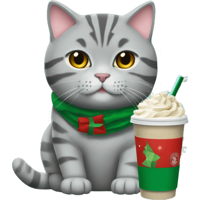 Grey tabby british shorthair cat drinking a starbucks holiday drink emoji