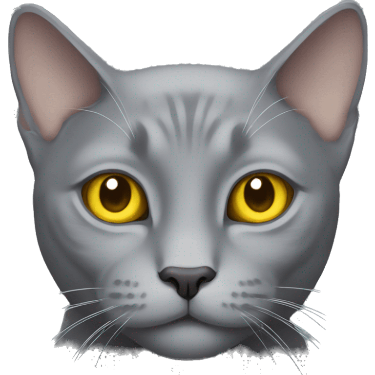 solid gray cat with yellow eyes, no stripes emoji