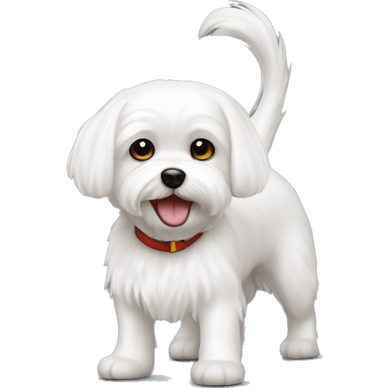 white maltese playful emoji