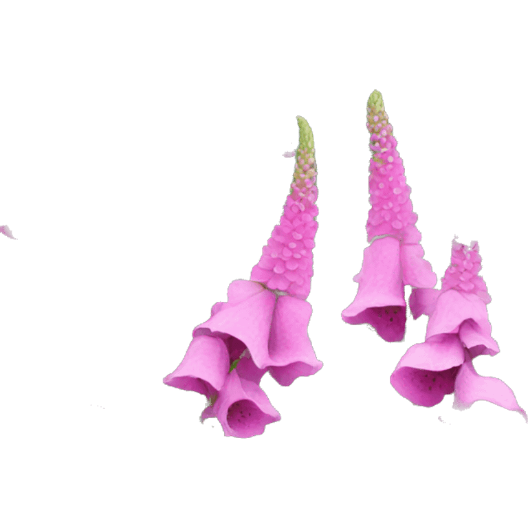 foxglove emoji