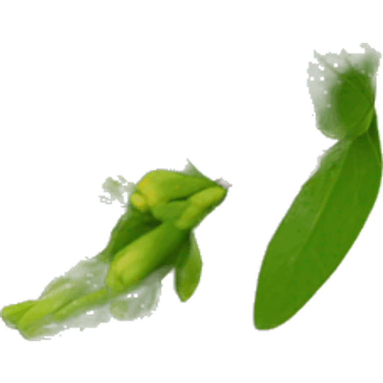 Honeysuckle emoji