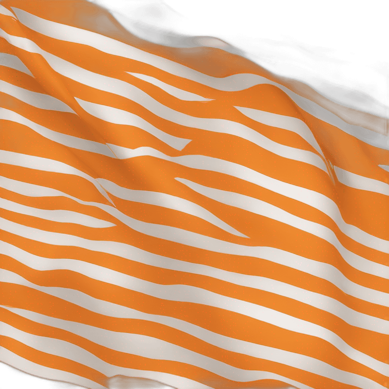 Flag orange  emoji