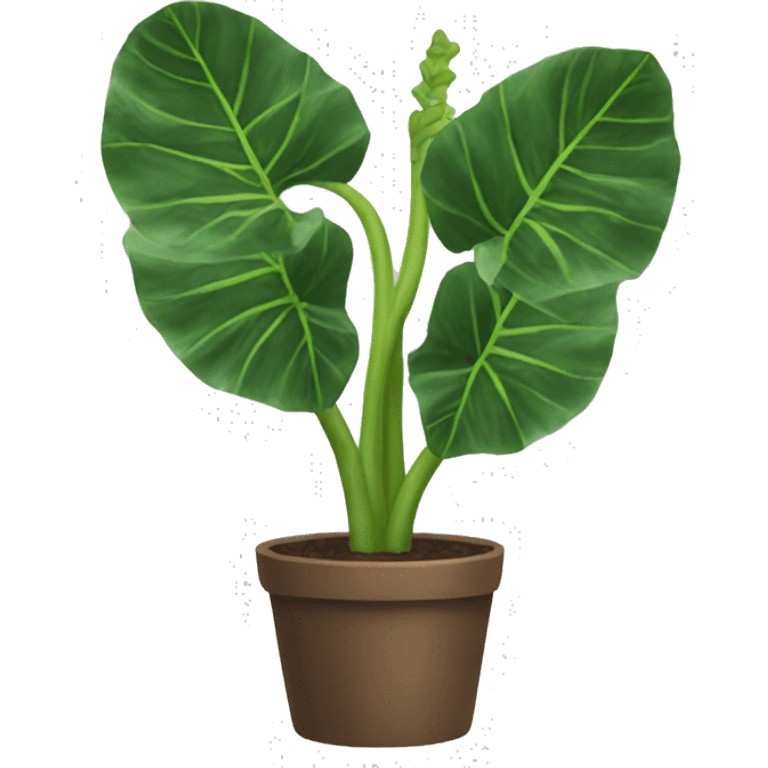 Alocasia plant emoji