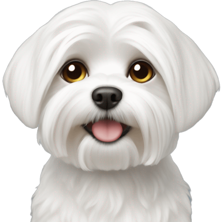 maltese white  emoji