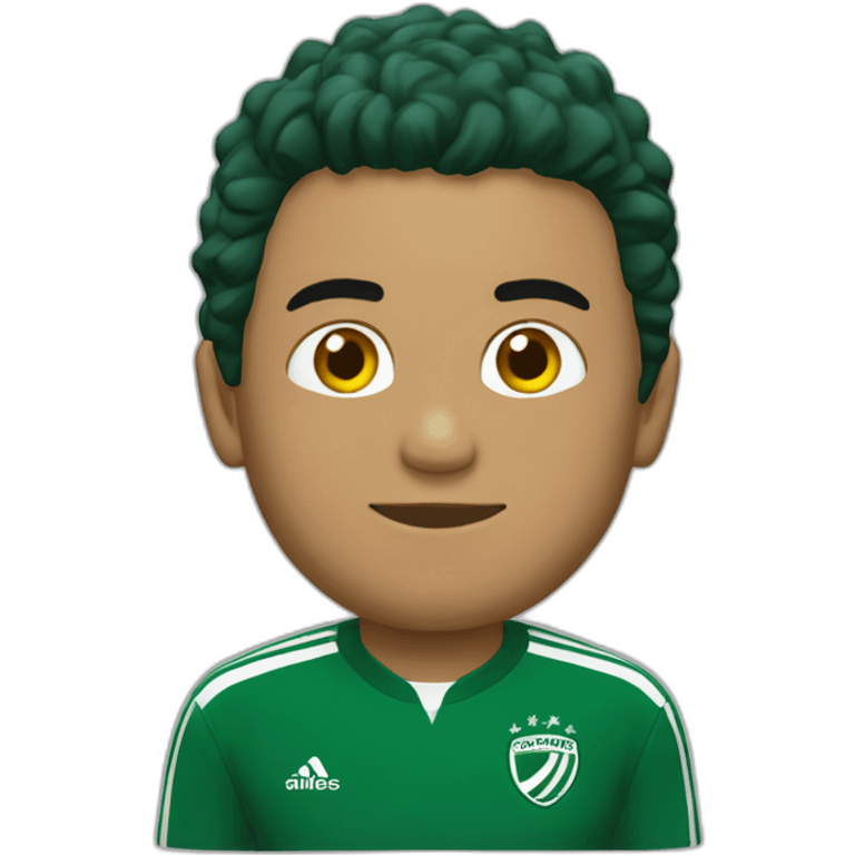 rony palmeiras emoji