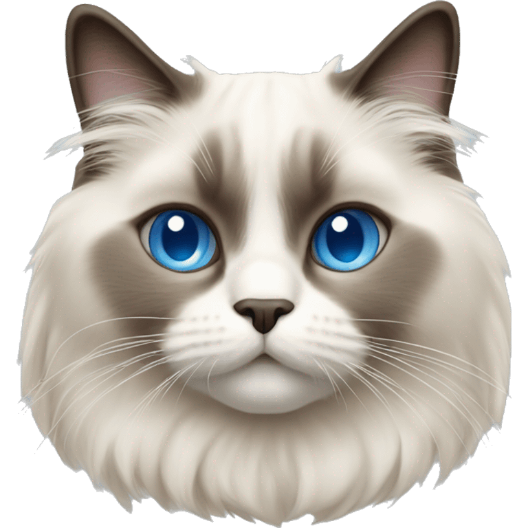 Ragdoll cat with blue eyes  emoji