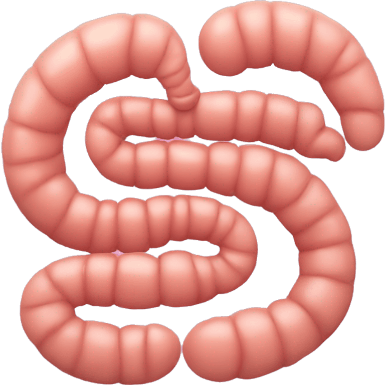 Stomach And intestine emoji