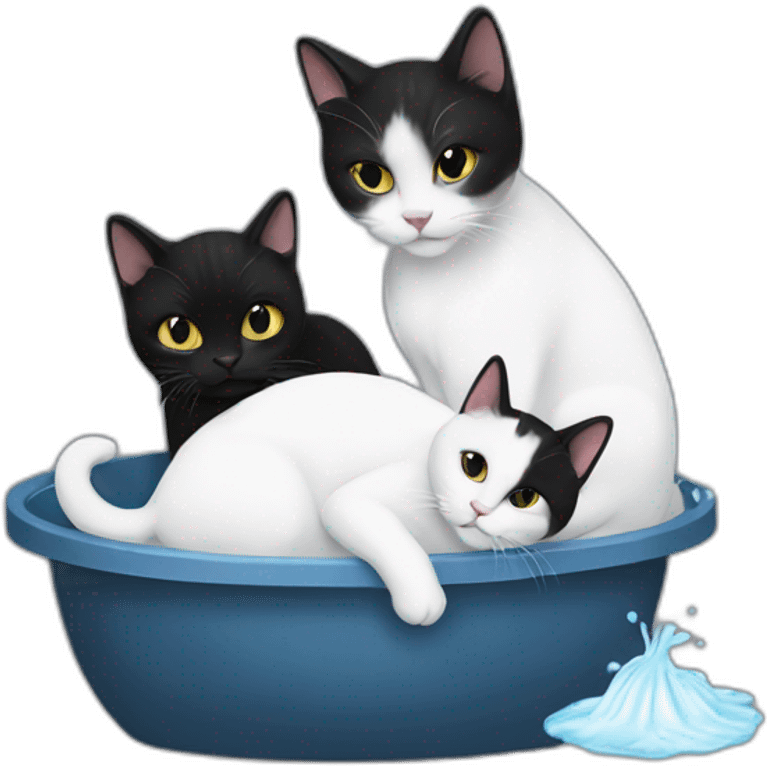 A white cat washing a black cat emoji