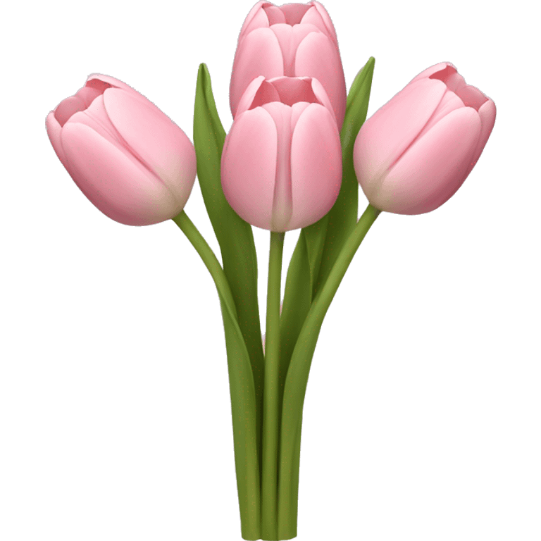 Pale pink tulip bouquet  emoji