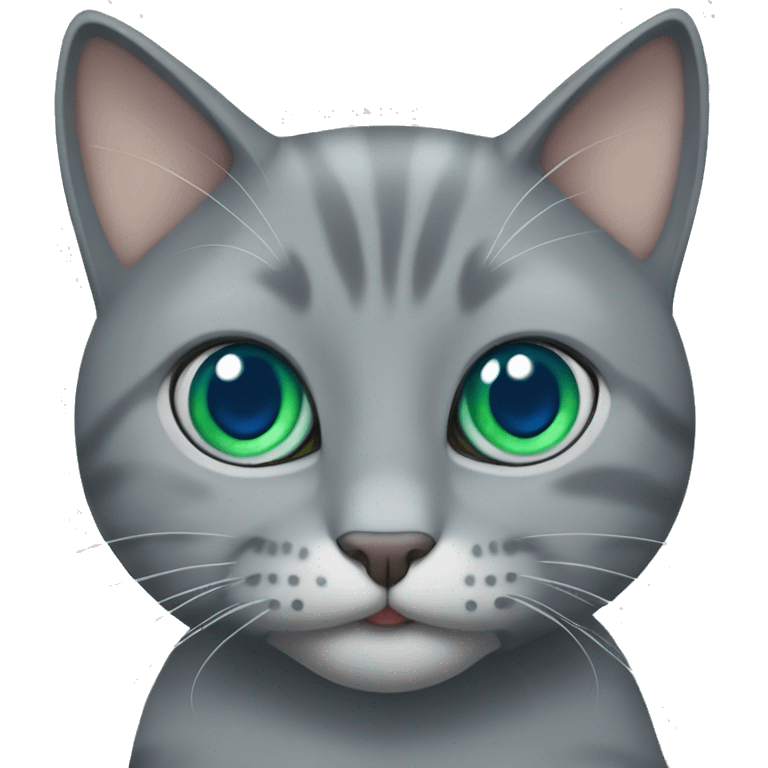 Grey cat with blue, green eyes, with a cat treat  emoji