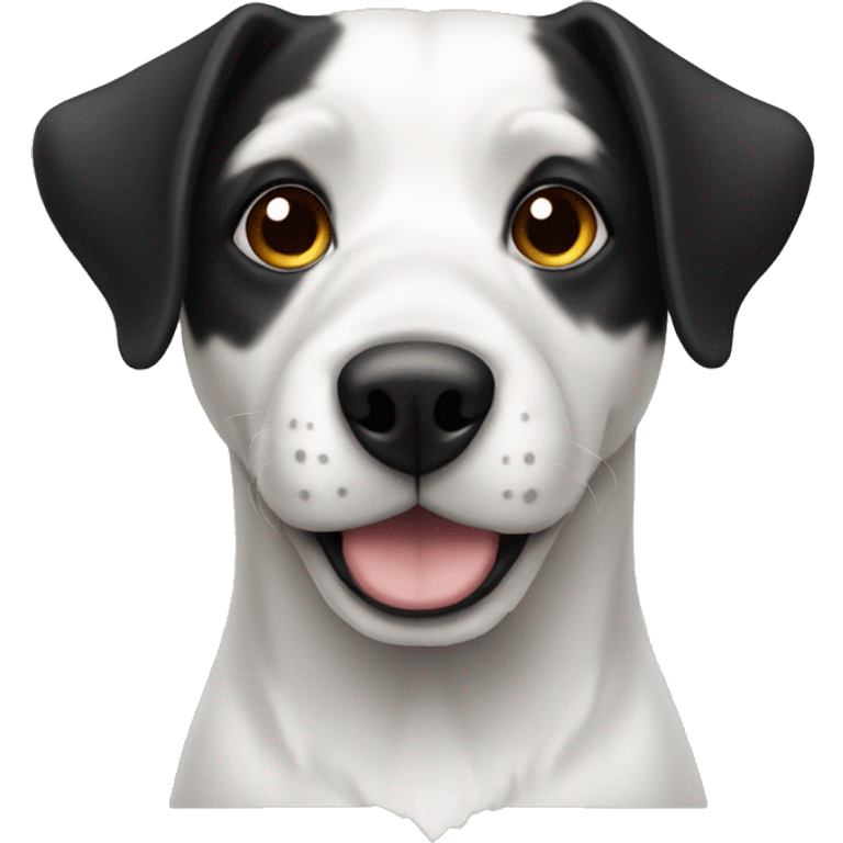 Dog white and black  emoji