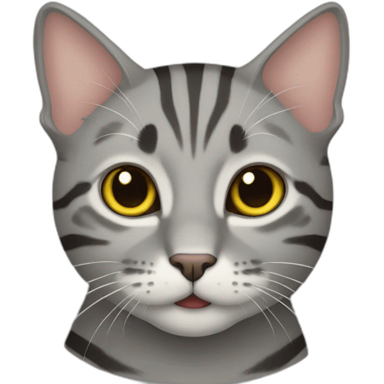 Gray tabby cat emoji