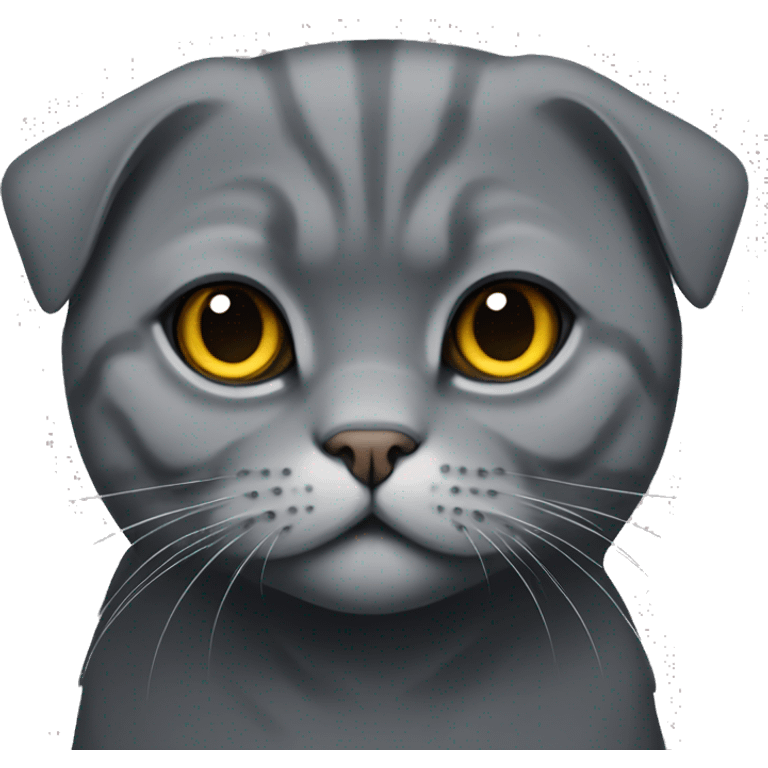 Adult Scottish fold cat dark grey colour emoji