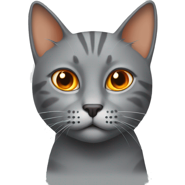 Grey cat with orange Spot on the forehead emoji