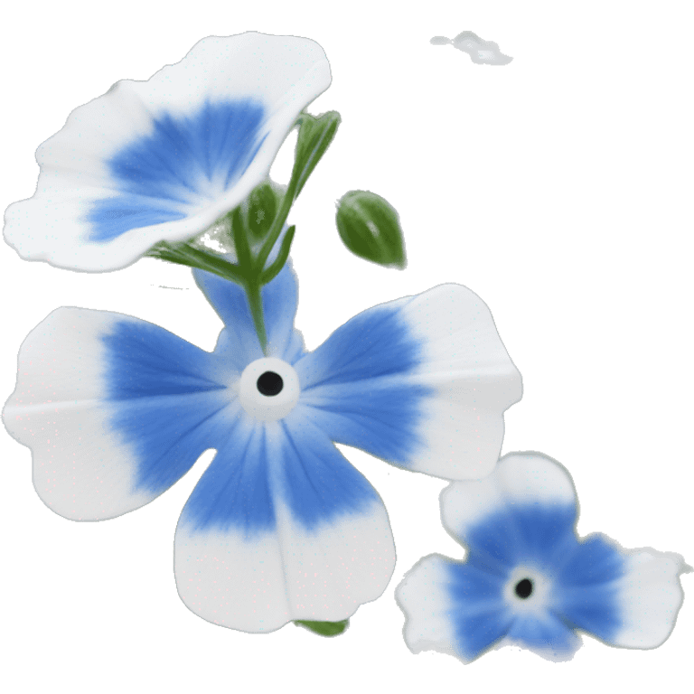 Nemophila flower one pretty one emoji