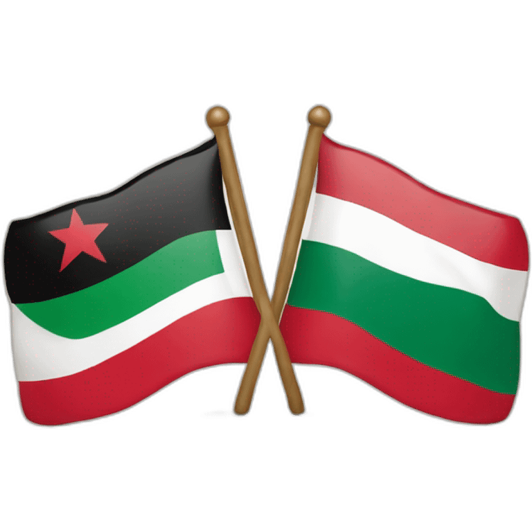 two flags palestine and morocco emoji