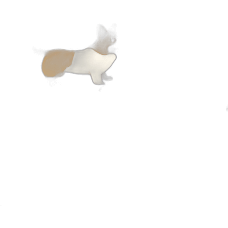 Pembroke Welsh Corgi emoji