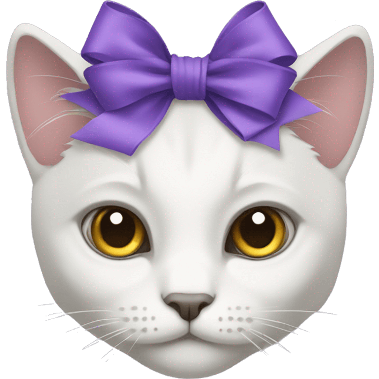 white gray mixed cat with purple bow emoji