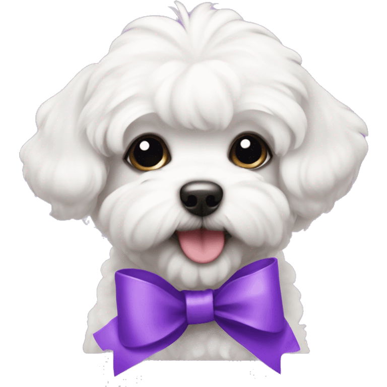 Schichon puppy with a purple bow  emoji