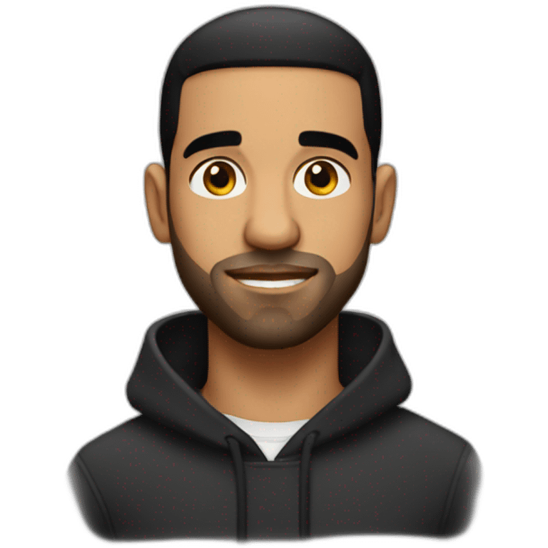 drake with nice eyebrows emoji