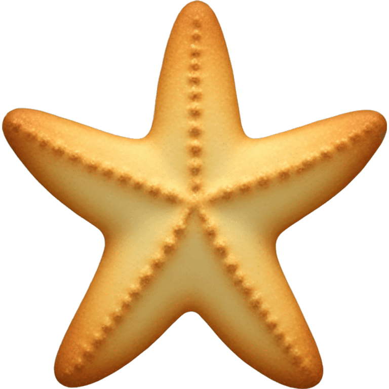 symmetry starfish-shape cookie  emoji