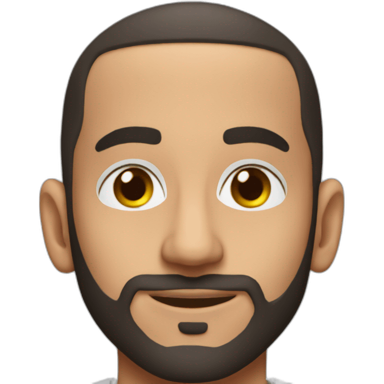 Hakim ziyech emoji