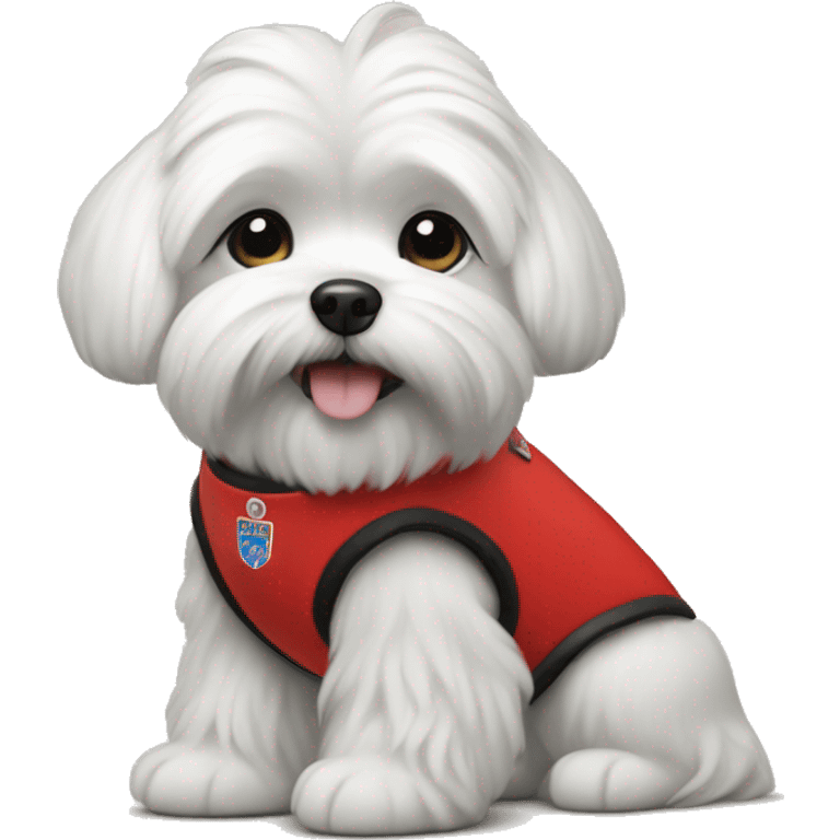 Maltese wearing a red service dog vest  emoji