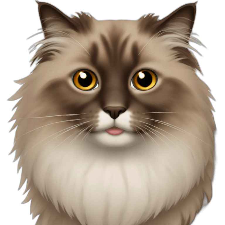 Very hairy brown ragdoll cat emoji