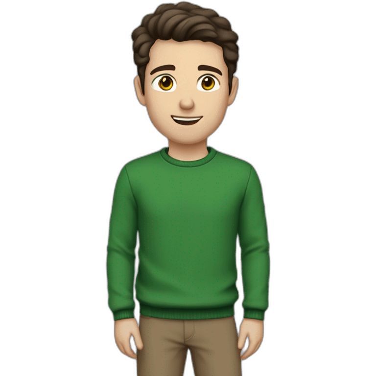 white guy, 30 years old, dark hair, medium height, blue eyes, wearing a green pullover, gray chinos and brown chelsea pants emoji