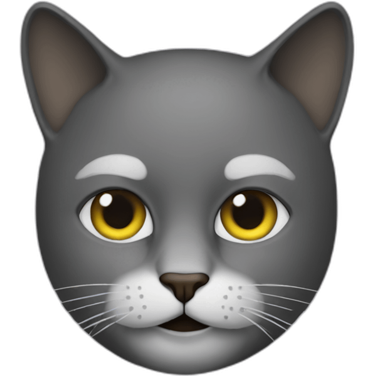 cat with ski mask emoji