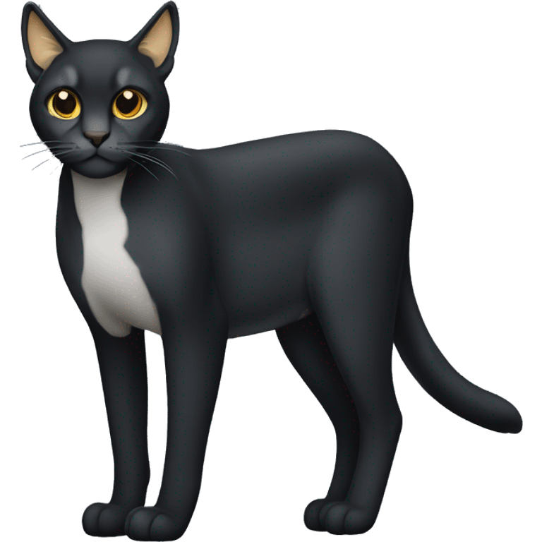 sleek black only lynx cat with golden eyes and fully body emoji