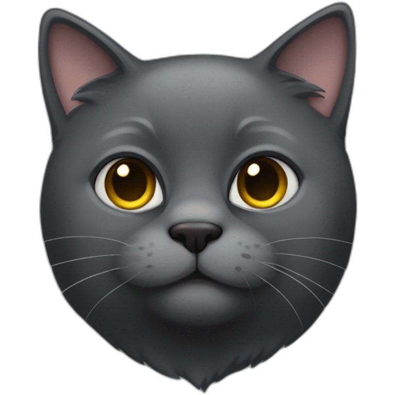 A dark grey cat, a big fat, old and cute. emoji