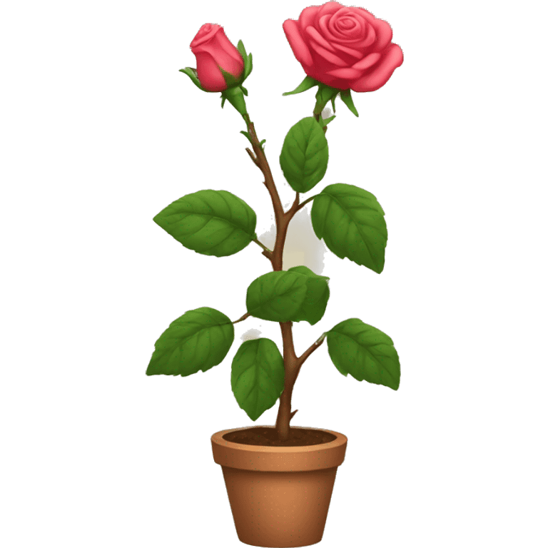 rose bush emoji