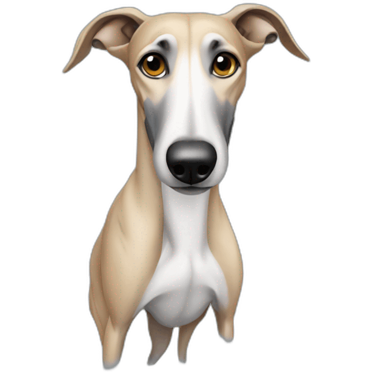 Greyhound emoji