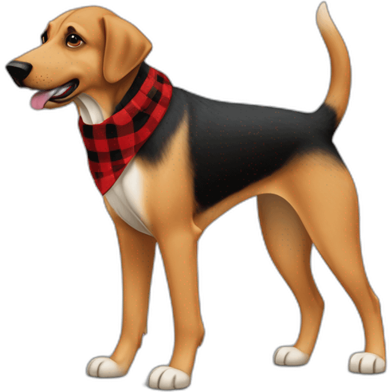 adult 75% Coonhound 25% German Shepherd mix dog with visible tail wearing small pointed red buffalo plaid bandana full body walking left quickly emoji