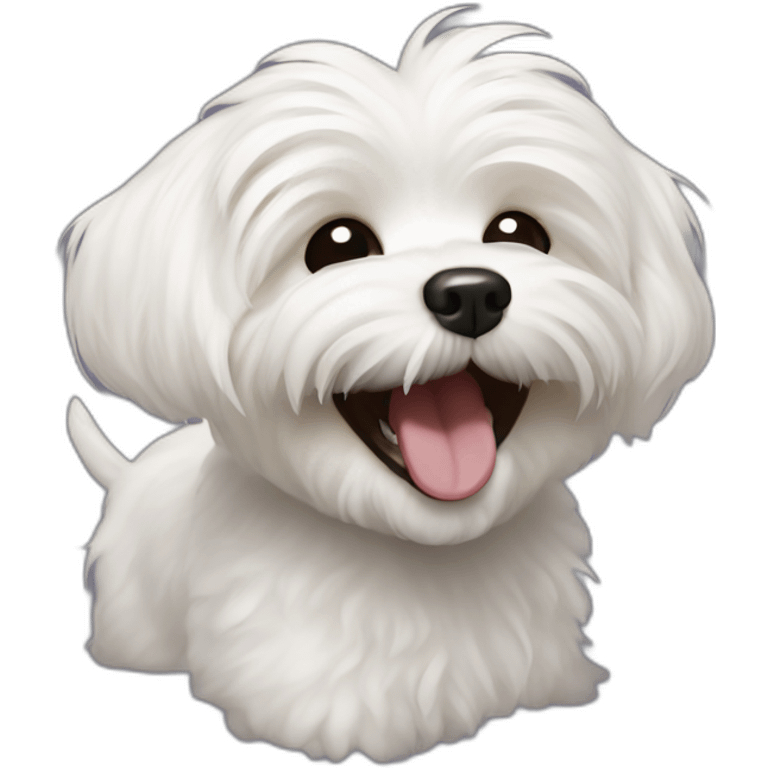 dog bichon havanese laughing emoji