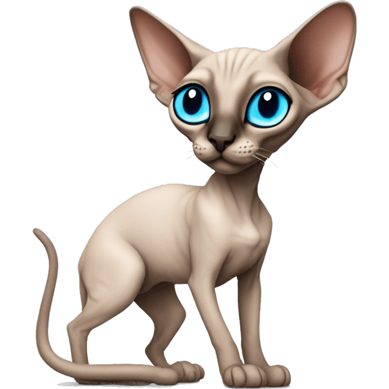 Siamese Sphynx Peterbald  cat with blue eyes, full thin body stand, black nose ears and tail emoji