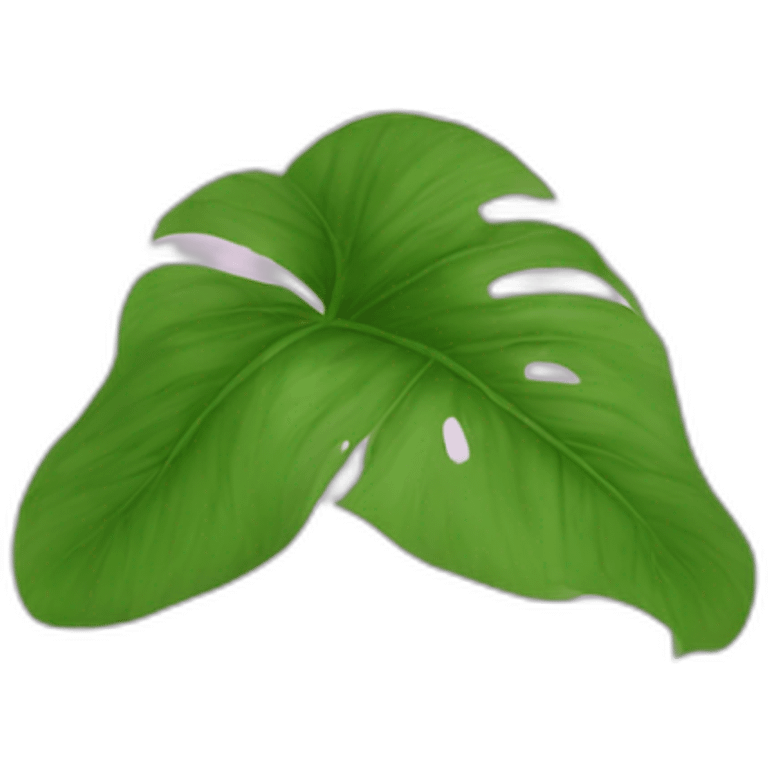 Epipremnum aureum emoji