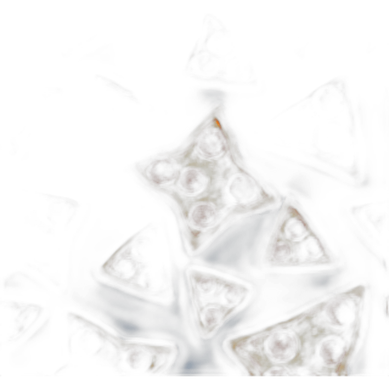 star shape pizza emoji