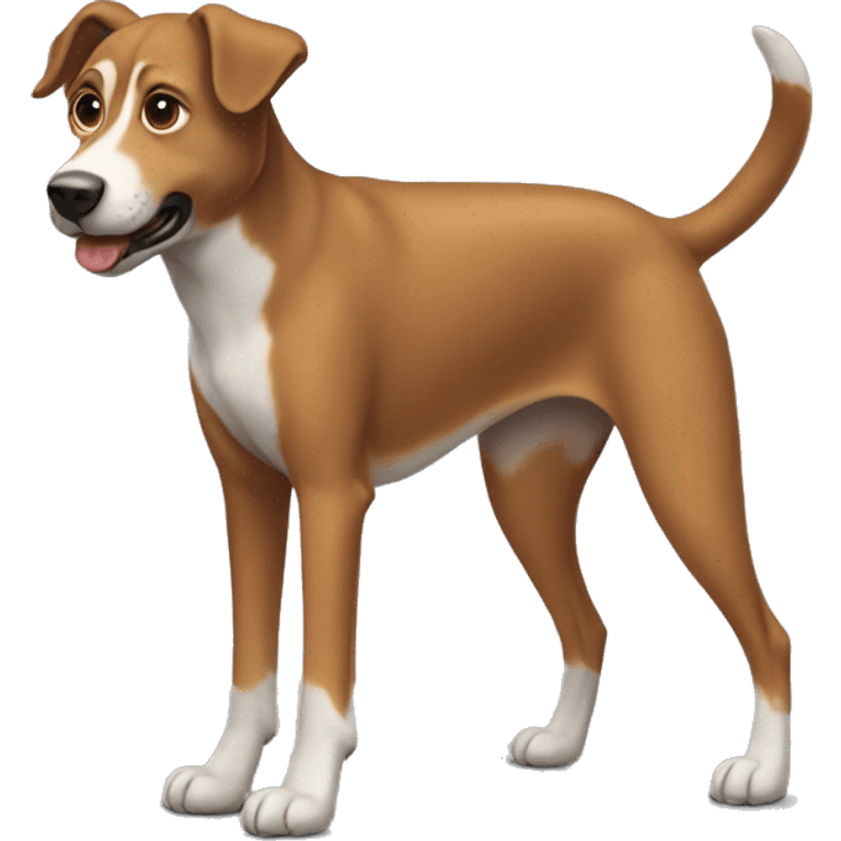 the dog is a brown mongrel with short legs and a long body emoji