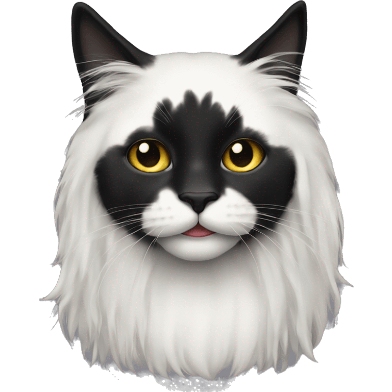 black cat long haired with muzzle half white emoji