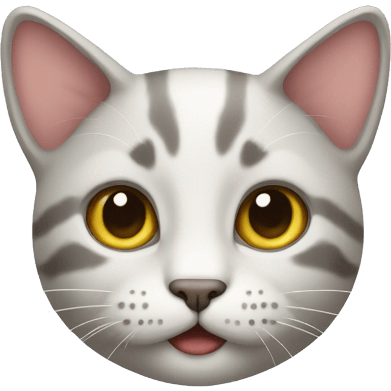 a cat emoji