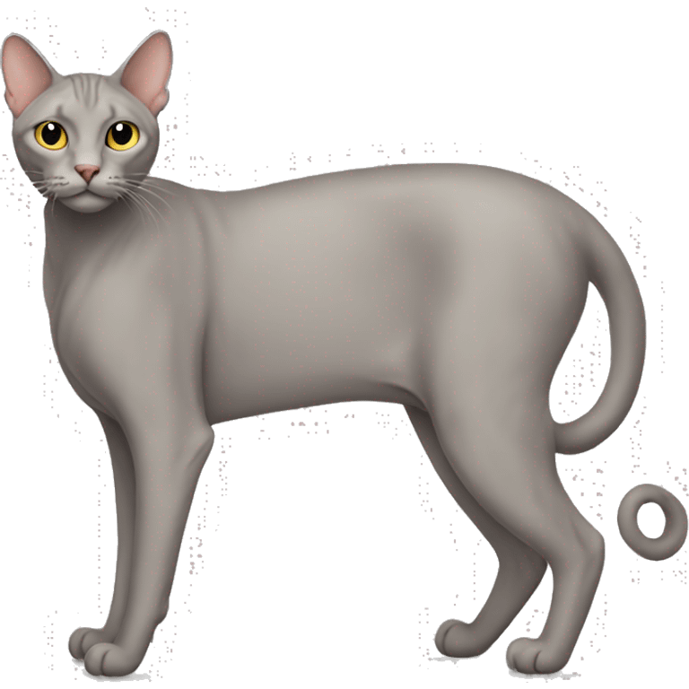 A full-body view of a large, hairless cat emoji