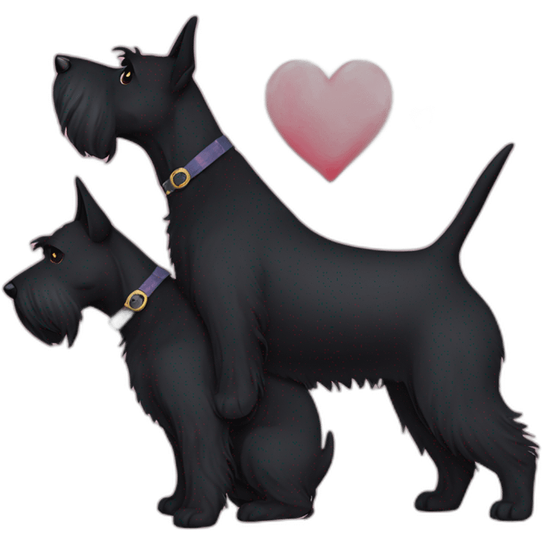 Two black Scottish terrier kissing one male one female emoji